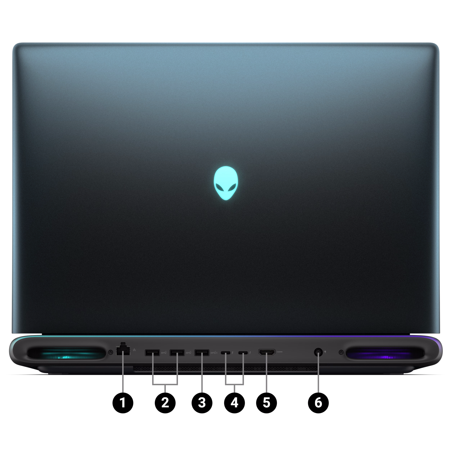 ports back