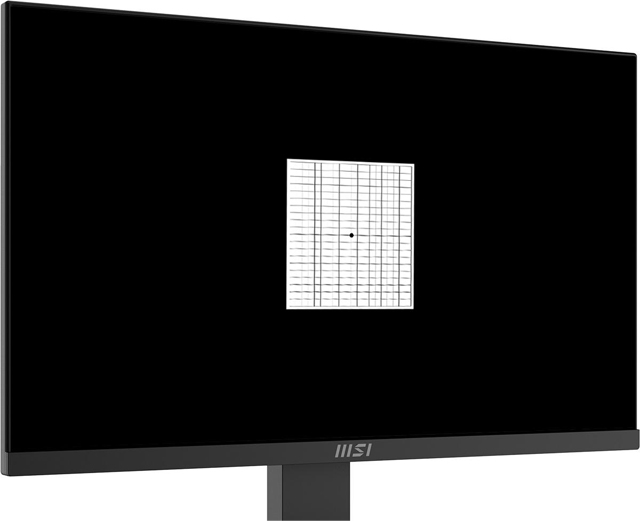 Amsler Grid