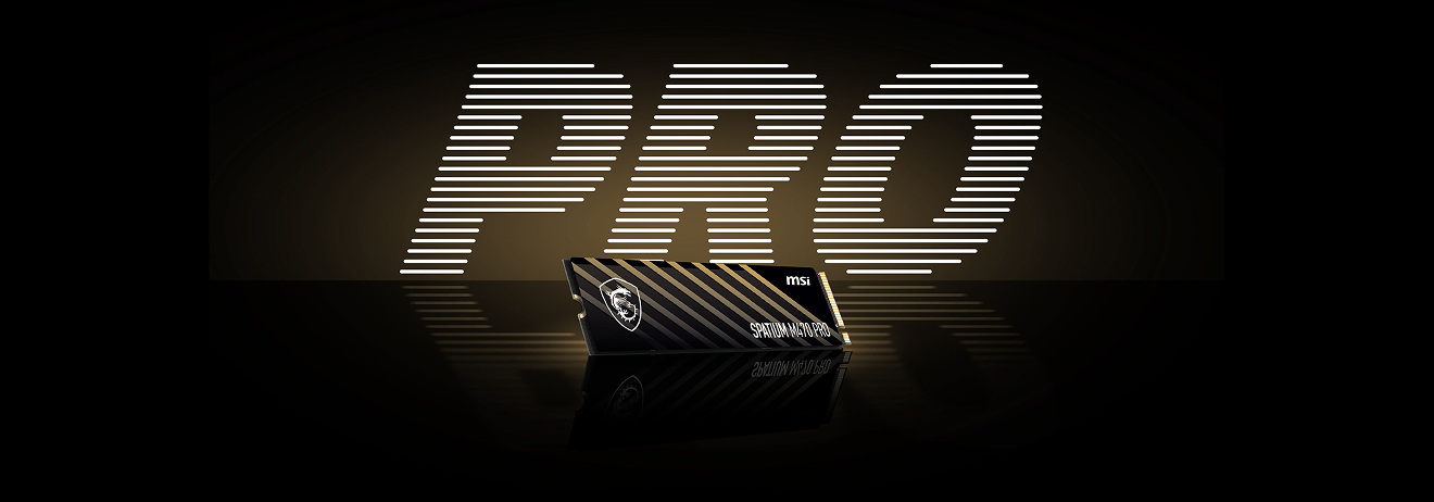 MSI SPATIUM M470 PRO PCIe 4.0 NVMe M.2 2TB SSD
