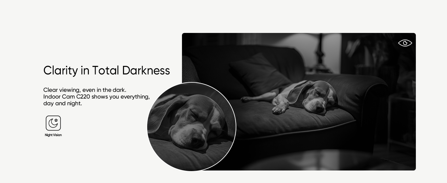 eufy Security Indoor Cam C220