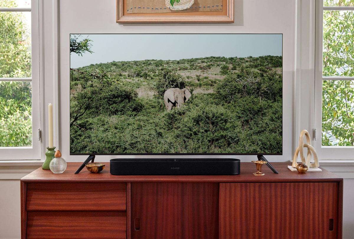 Crni Beam i televizor na komodi