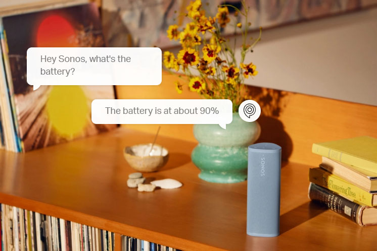Sonos voice control