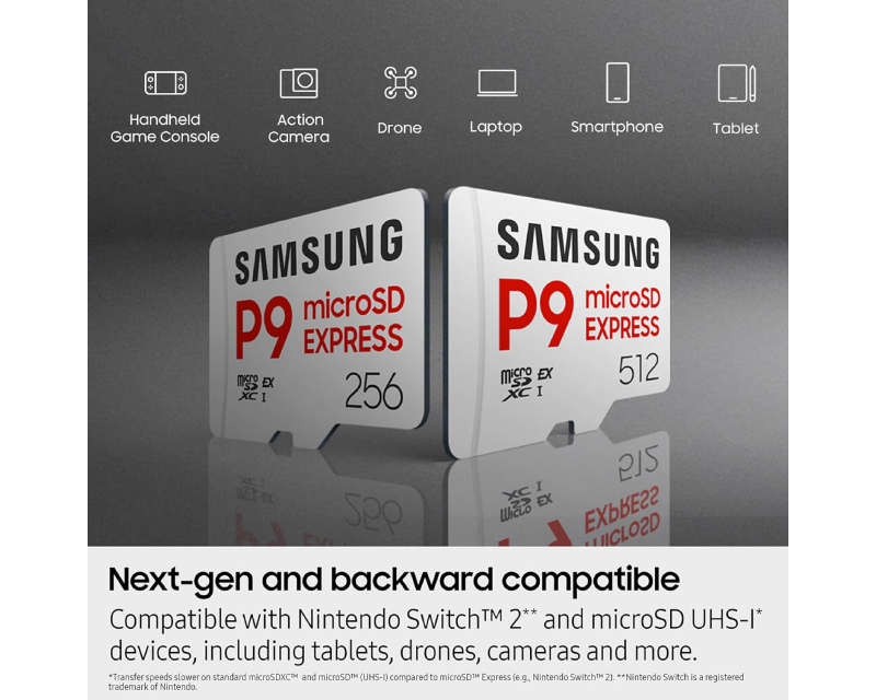 Memorijska kartica P9 Express MicroSDXC Card 256GB MB-MK256T