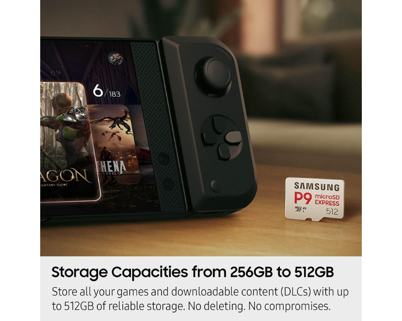 Memorijska kartica P9 Express MicroSDXC Card 256GB MB-MK256T