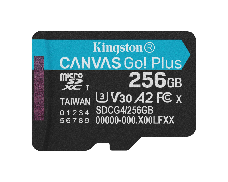 Memorijska kartica U3 V30 microSDXC Canvas Go Plus