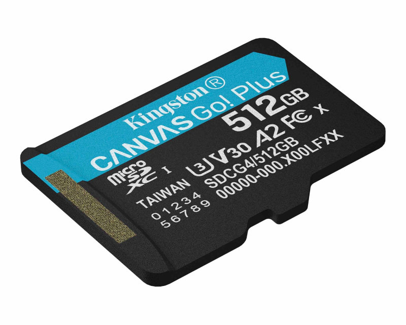 Memorijska kartica U3 V30 microSDXC Canvas Go Plus