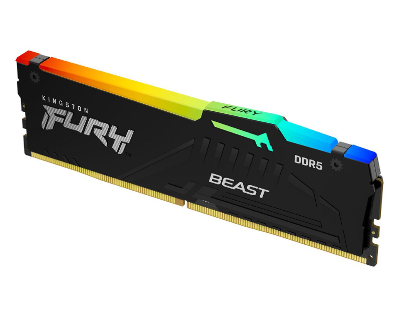DIMM FURY Beast RGB Black