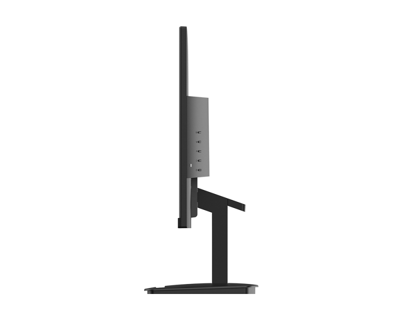 23.8 inča PRO MP2412 FHD 1920x1080 VA 100 Hz business monitor