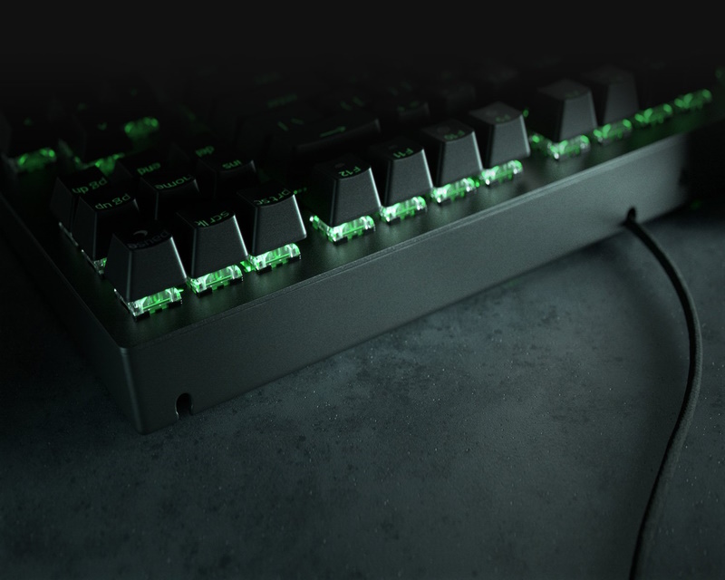 Razer BlackWidow V3 Tenkeyless USB mehanička gejmerska US tastatura Green Switch